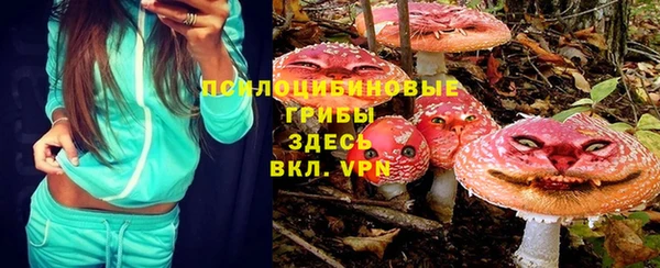 ALPHA-PVP Каменногорск