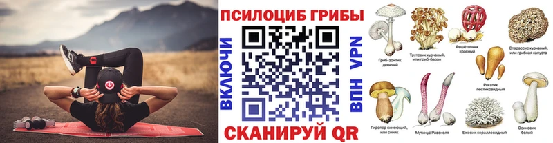 Купить где Задонск Галлюциногенные грибы прущие грибы